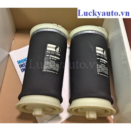 Bóng hơi giảm xóc sau xe BMW X5 đời 2009_ 40- 221595